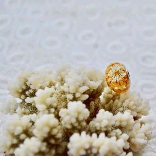 Hạt charm hoa Anne queen thủ công từ resin và hoa