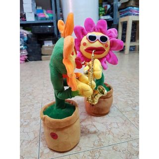 chậu hoa thổi kèn giá sỉ