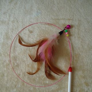 Đồ chơi cần câu cho mèo