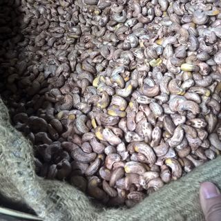 Hạt điều rang muối