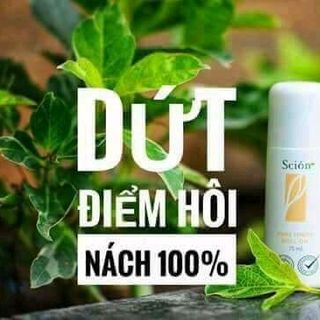 lăn nách scion