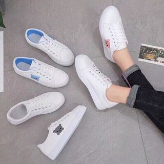 giày bata vật cưng