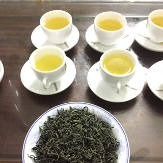 Chè Thái Nguyên