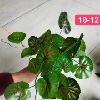CÂY TRANG TRÍ HỌA TIẾT TƯỜNG CỎ
