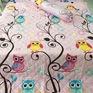 Trọn bộ chăn ga gối cotton poly mềm mịn