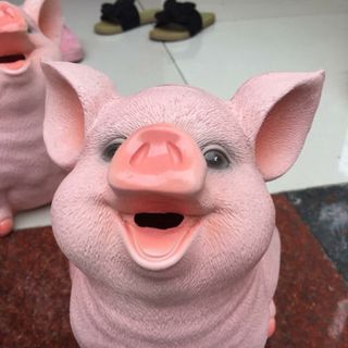 lợn đất đẹp và rẻ