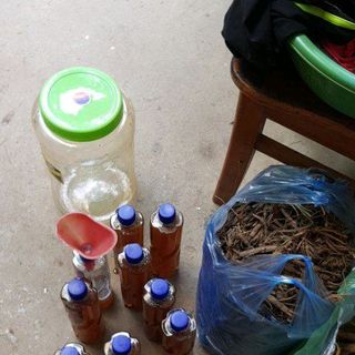 mật ong rừng