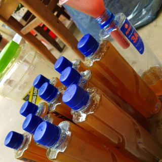 mật ong rừng
