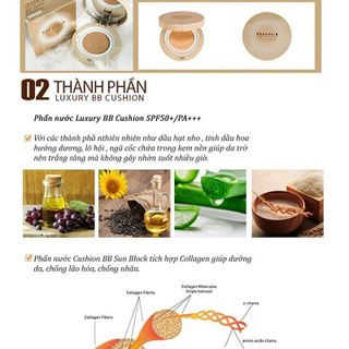 Phấn nước Beauskin Luxury Cushion BB giá sỉ​ giá bán buôn