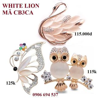 cài áo nữ siêu đẹp