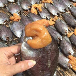 khô cá sặc trứng 1 nắng