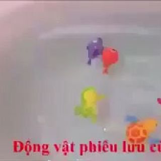 động vật giá sỉ