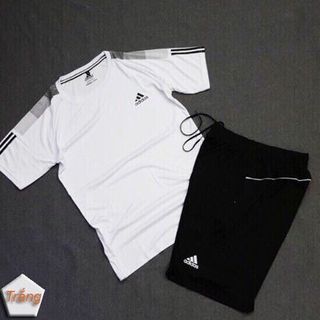 Set bộ thể thao