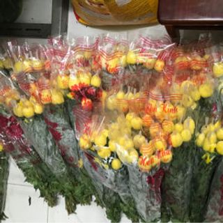 Chuyên Sỉ Bông Cúc Đại Đoá Tại Vườn Đà Lạt