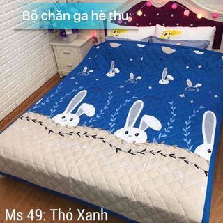 bộ chăn ga gối cotton poly