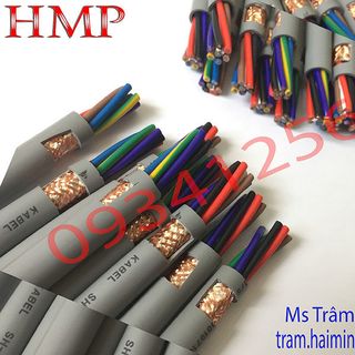 Cáp điều khiển cáp điều khiển chống nhiễu cáp 25 lõi hcm sẵn kho