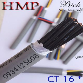Cáp điều khiển cáp điều khiển chống nhiễu cáp 25 lõi hcm sẵn kho