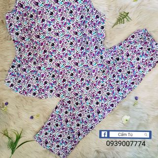 sỉ đồ bộ tole