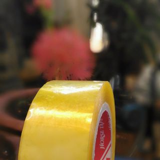 Băng Keo Vàng Chanh