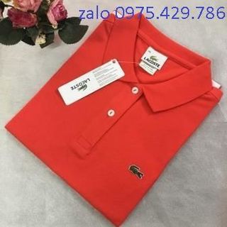 Áo Thun Cá Sấu