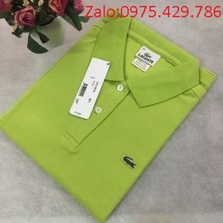 Áo Thun Cá Sấu