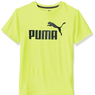 Báo gấm- Pum vua tốc độ- Hàng Authentic- Đổ buôn sỉ giá rẻ