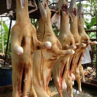 Thịt Dê Ninh Thuận