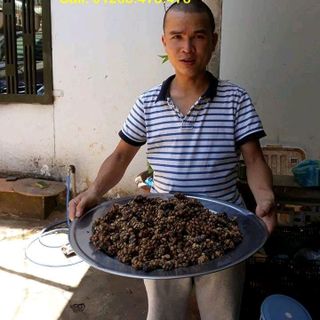 cà phê chồn nhân