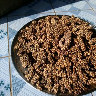 cà phê chồn nhân