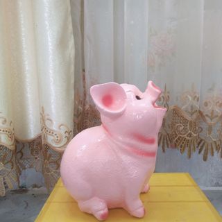 Heo đất đẹp