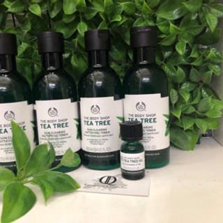 Nước hoa hồng Tea Tree Skin Clearing Toner 250ml