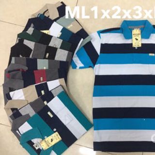 áo cổ bẻ phăng ngang