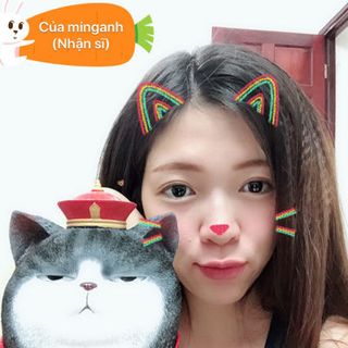 Mèo xéo sắc
