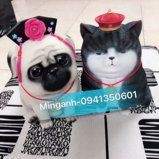 Mèo xéo sắc