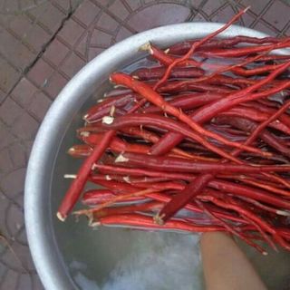 sâm cau đỏ sâm cau đen đẳng sâm ba kích mật ong hà thủ ô thất diệp nhất chi hoa sâm đá