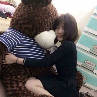 Gấu Bông Teddy Khổ vải 16m cao 14m