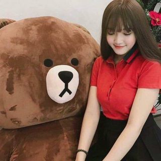 Gấu Bông Brow khổ vải 14m cao 12m