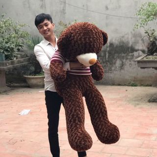 Gấu Bông Teddy Khổ vải 14m cao 12m CSSX Gấu bông các loại Mạnh Quang