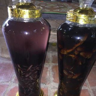 rượu ba kích 7 lá 1 hoa ba tía sâm cau đỏ táo mèo sáp ong nếp câm đào sâm xuyên đá