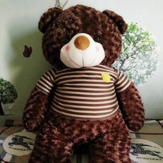 Gấu Bông Teddy Khổ vải 12m cao 1m giá sỉ