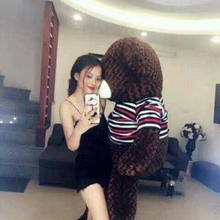 Gấu Bông Teddy Khổ vải 2m cao 18m giá sỉ