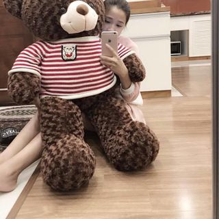 Gấu Bông Teddy Khổ vải 12m cao 1m