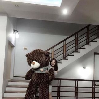 Gấu Bông Teddy Khổ vải 2m cao 18m