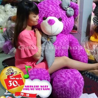Gấu Bông Teddy Khổ vải 14m cao 12m Màu Tím