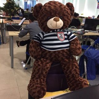 Gấu Bông Teddy Khổ vải 1m cao 80cm màu nâu