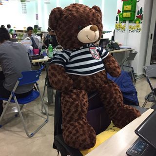 Gấu Bông Teddy Khổ vải 1m cao 80cm màu nâu