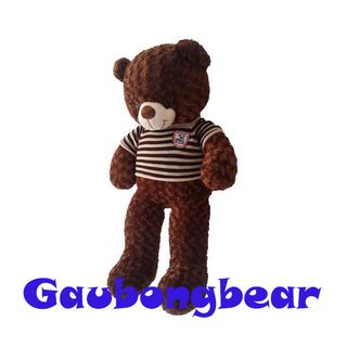 Gấu Bông Teddy Khổ vải 80m cao 60m