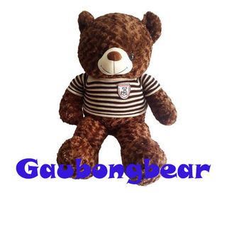 Gấu Bông Teddy Khổ vải 80m cao 60m