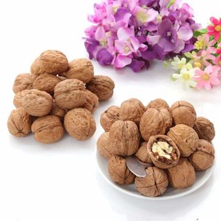 ÓC CHÓ MỸ CÒN VỎ