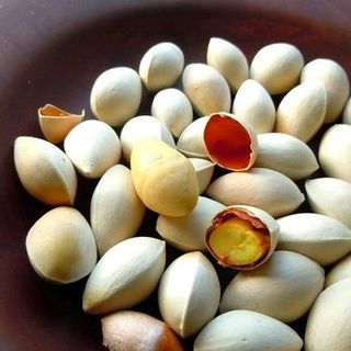 Bạch Quả